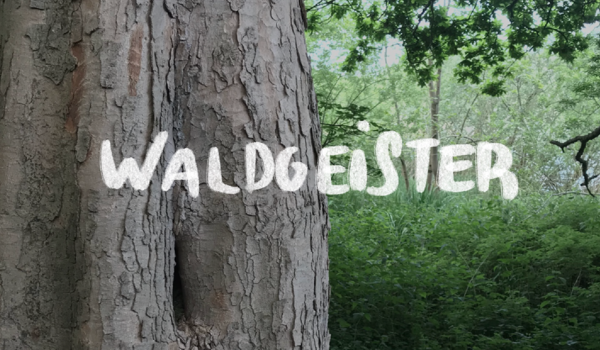 Waldgeister